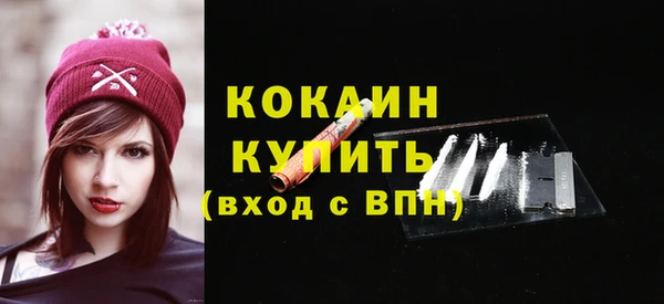 кокс Дмитриев