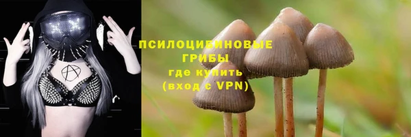 кокс Дмитриев