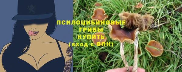 гидра Усмань