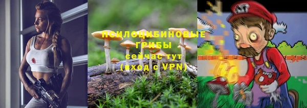 гидропоника Дмитров