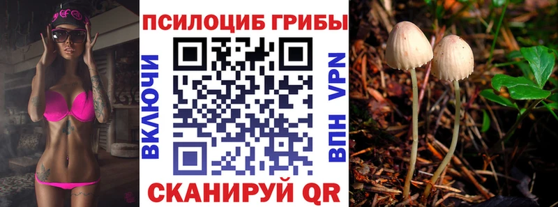 darknet Telegram  Дигора  Галлюциногенные грибы GOLDEN TEACHER 